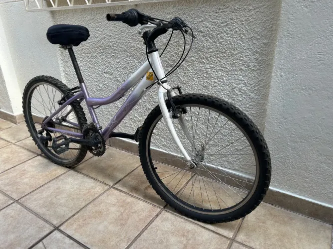 Bicicleta Soul Mystic Aro 24