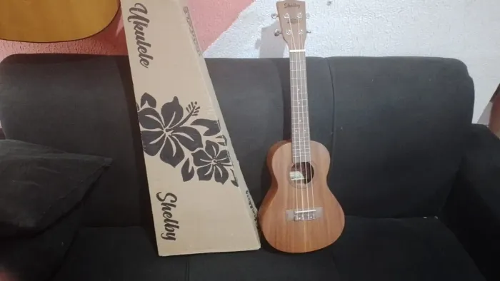 Ukulele 