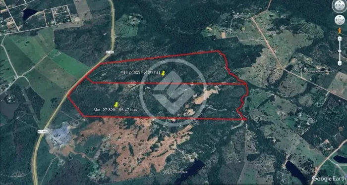 Grande Terreno 115 hectares na MT-402 codigo: 27136