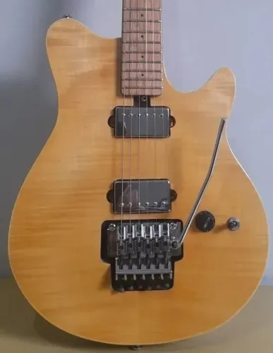 LGuitarra Floyd Rose, Evh, T Johnson Ponte Gotoh Japan. Destro (Usado)