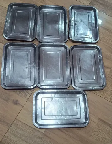 7 bandejas inox 20 X 30