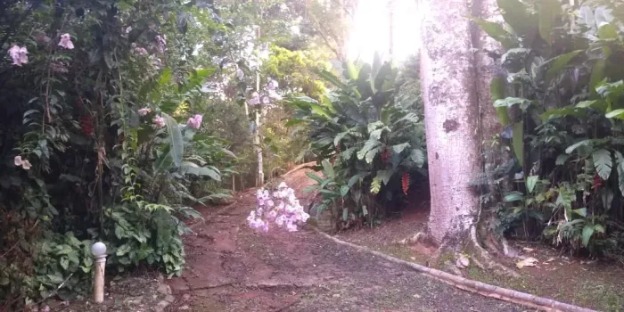 Terreno à venda em Santana de Parnaíba Chácara Jaguari (Fazendinha) na Estrada Jaguari
