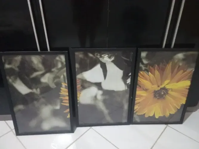 Conjunto de quadro