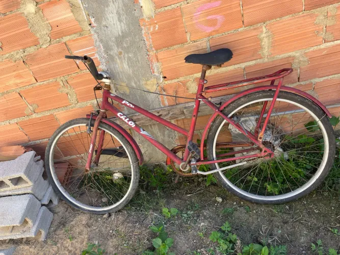 Quadro de poti 