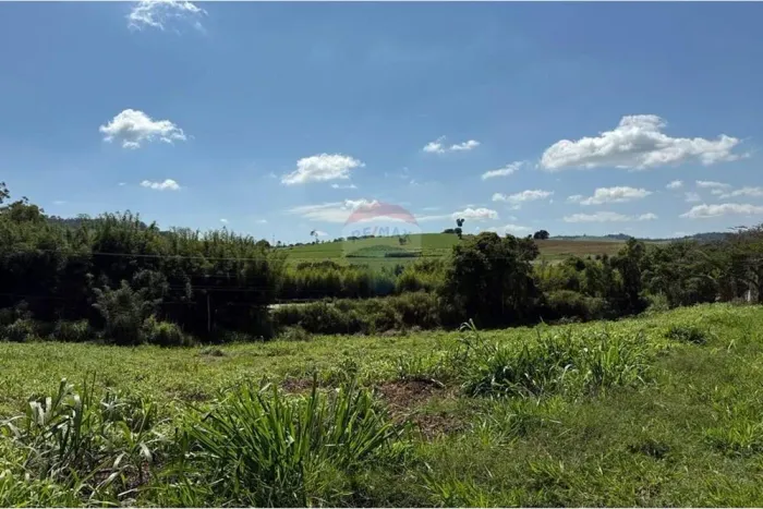Lote à venda de 1000 metros em Tuiuti!