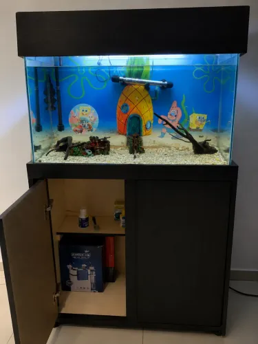 Aquário para peixes