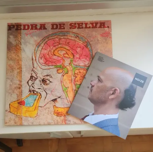 Curumin - Pedra de Selva - LP/Vinil Noize