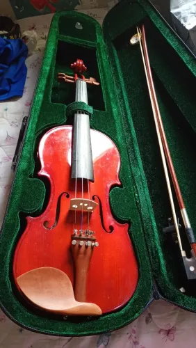 Violino adulto 