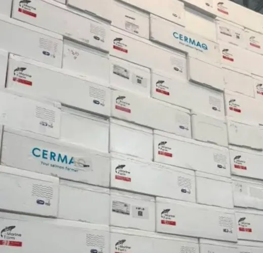 Promoção caixa de isopor Varejo R$ 10 Unidade