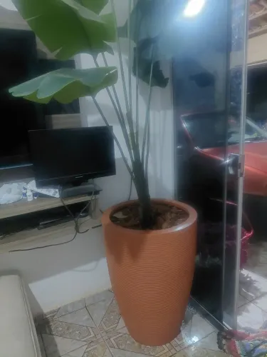 Vaso de decoração