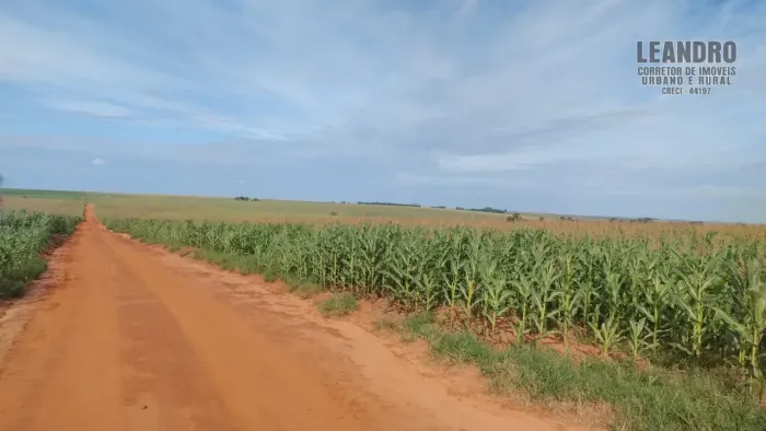 Fazenda para venda no PR. NOROESTE.
