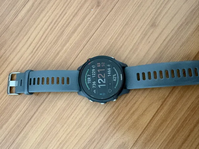 Garmin Forerunner 255