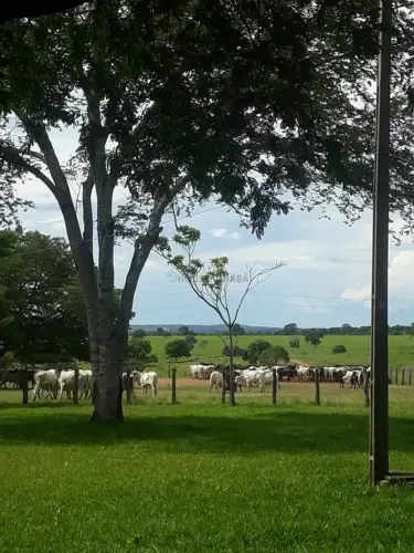 Fazenda Nova Mutum