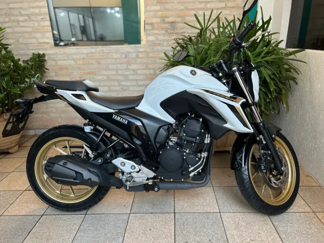 FZ25