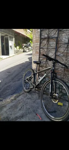 Bike RAVA ARO 29