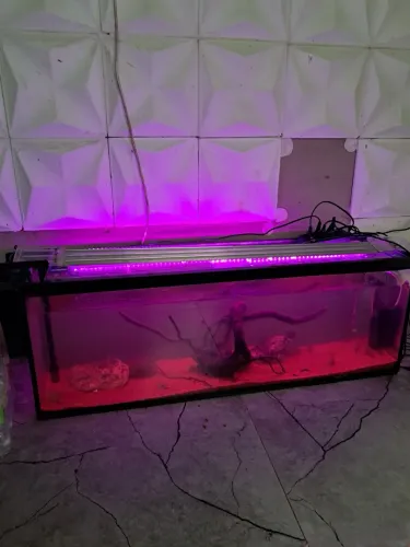 Aquário 120 litros