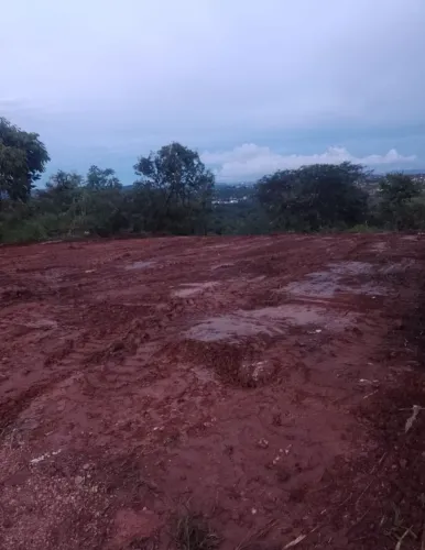 Venda de lote 