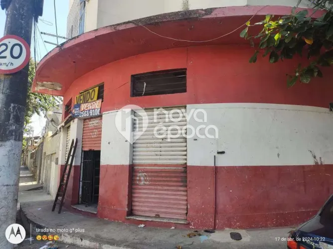 Jacaré | Loja
