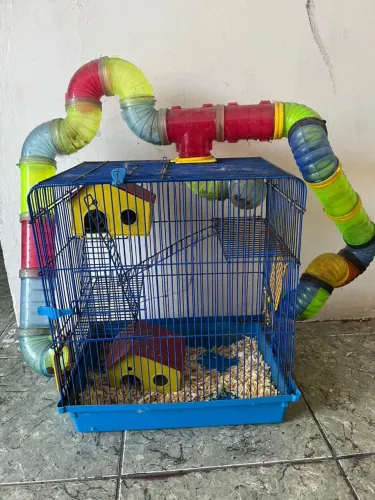 Gaiola hamster