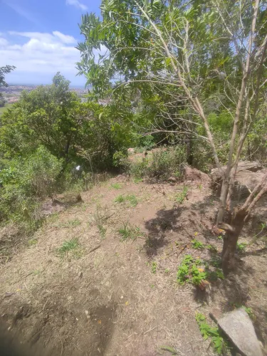 Terreno contrato de compra e venda.