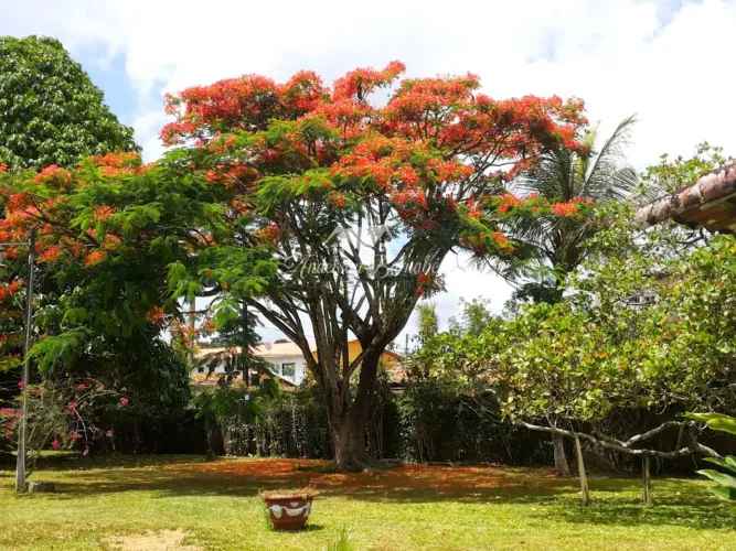 ALDEIA - CASA PRINCIPAL COM EDÍCULA COM 2.400 M2