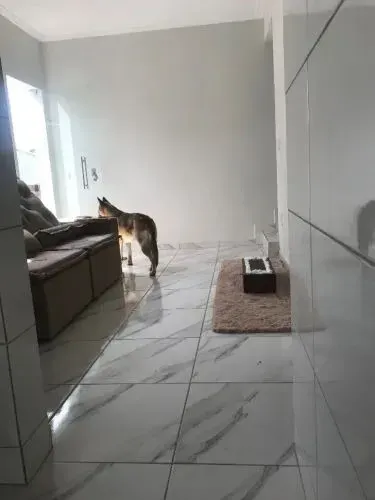 Casa Geminada para comprar Vale das Acácias Ribeirão das Neves