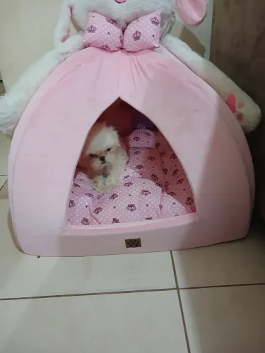 Cama de cachorro