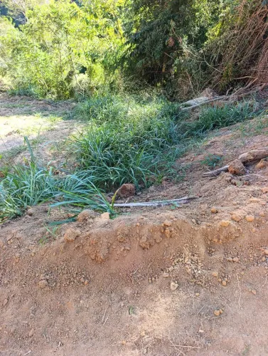 Terreno aproximadamente 2.000mz²