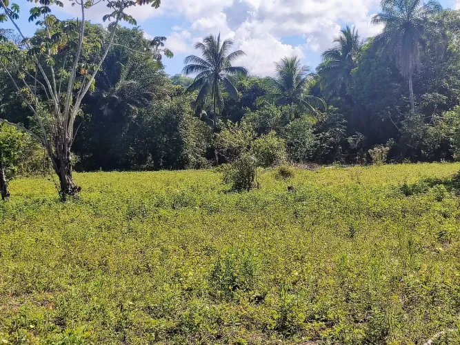 Terreno em ilha de mare