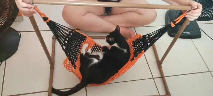 Rede com suporte para pets
