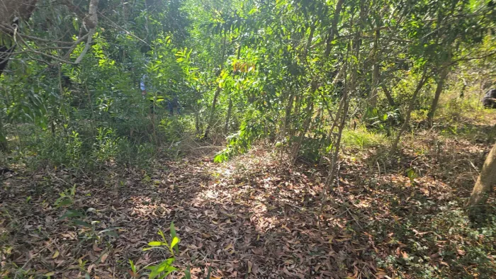 Lotes RUA MARMELO, Vila Velha, região de crescimento, Aceito propostas e ofertas, troco