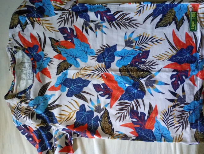 Camisas colcci original