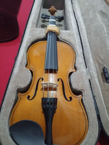Violino 3/4 dominante novo