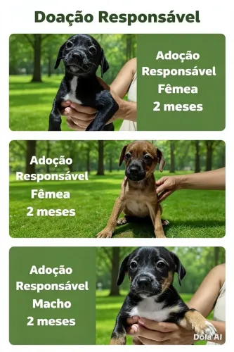 Doação responsável