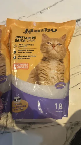 Areia de gato