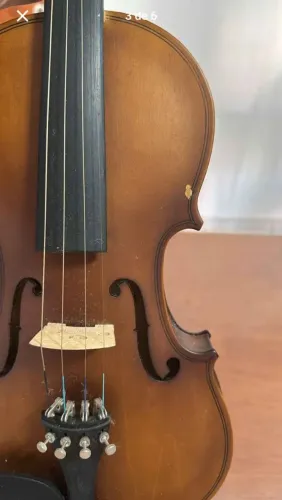 Violino