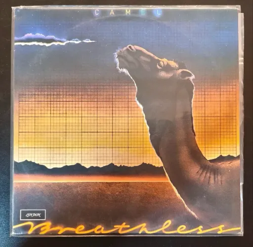 LP Camel Breathless
