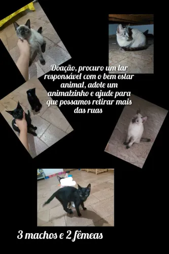 Doação
