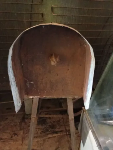 Máquina de padaria
