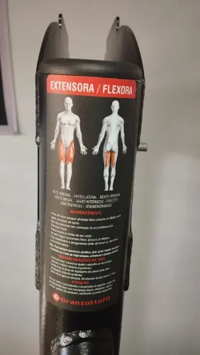 Cadeira flexora/ extensora 