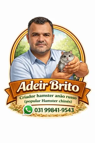 Hamster anão russo (popular Hamster chinês)