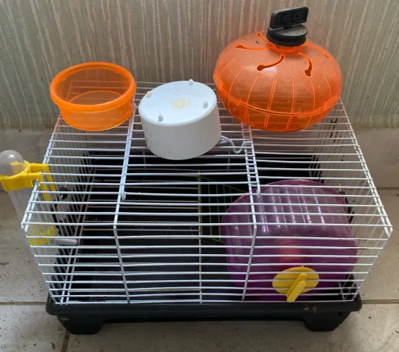 Gaiola hamster