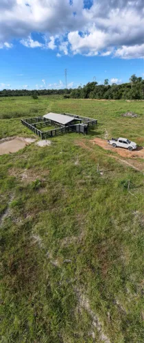 FAZENDA A VENDA 309 HECTARES