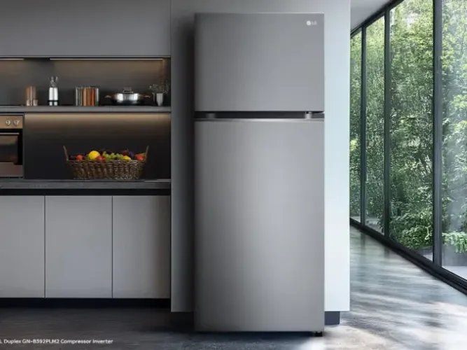 Geladeira/Refrigerador LG Frost Free 395L Duplex GN-B392PLM2 Compressor Inverter