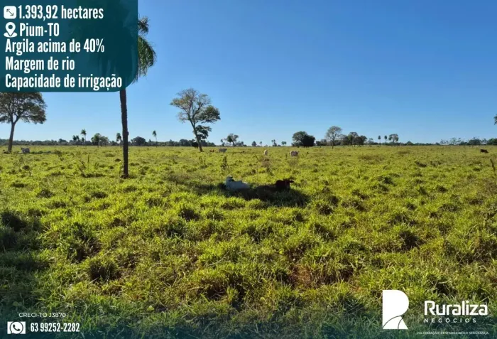 Fazenda em PiumTO | 1.393 ha | 100% Plana | Às Margens de Rio | Alto Potencial Agrícola