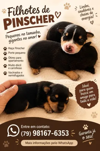 Pincher