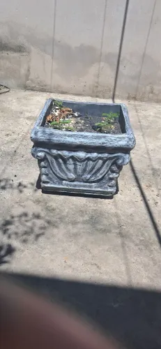 Vende_se vaso de planta