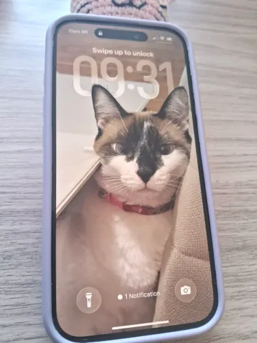 iPhone 16 128gb Branco 100%