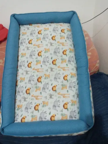 Linda caminha para pet