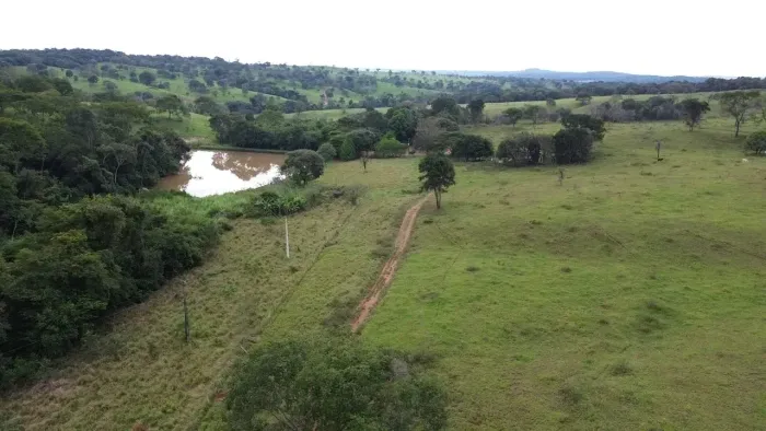 Fazendinha 7,8 Alq em Cromínia GO | Lago | Casa | 90 km Goiânia